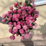 Кустовая роза от интернет-магазина «Your Fantasy»в Нижнем Тагиле